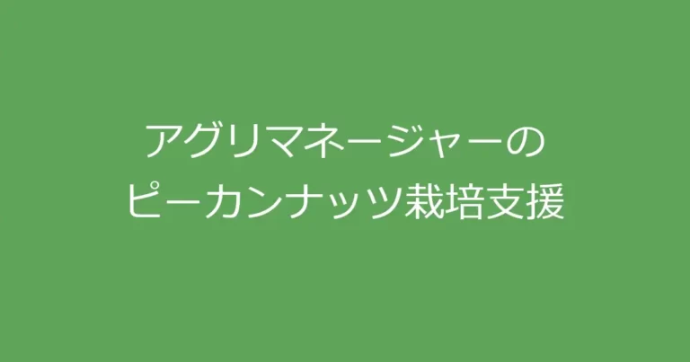 アグリマネージャーのピーカンナッツ栽培支援