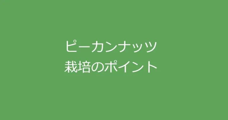 ピーカンナッツ栽培のポイント