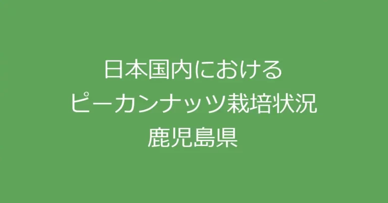 国内ピーカンナッツ栽培状況（鹿児島県）