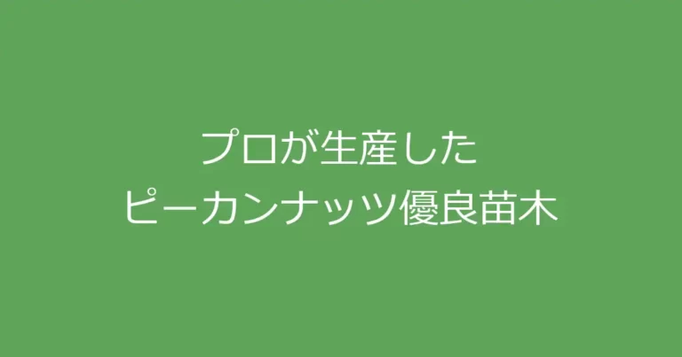 プロが生産したピーカンナッツ優良苗木